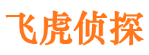 迎泽市婚外情调查